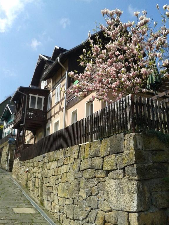 Wehlener Landhaus In Stadt Wehlen, Saechsische Schweiz 아파트 외부 사진